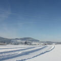 Langlaufen in der Region Attersee-Attergau