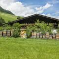Bienen Bienenalm Thiersee Themenweg
