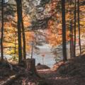 Hechtsee Herbst