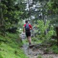 Trail durch den Wald