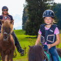 Ponytrekking auf dem Ponyhof Prem