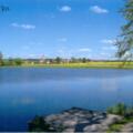 Brettenweiher im Sommer