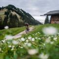 MTB-Tour Enning Alm