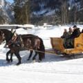 Pferdeschlittenfahrt in Gosau