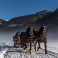 Pferdeschlittenfahrt Gosau