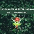 Sagenhafte Kräuter und wo sie zu finden sind