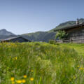 Kaser auf der Kammerlingalm