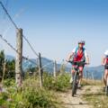Mountainbiken in Oberoesterreich