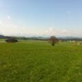 Unweit von Steingaden hat man einen grandiosen Alpenblick