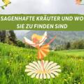 Sagenhafte Kräuter und wo sie zu finden sind - Titelbild