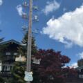 tegernsee-maibaum_dr-ingvild-richardsen