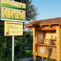 Schaubienenkasten Rottau