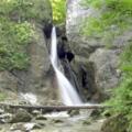 Rinnergerber Wasserfall