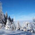 Zauberhafte Winterlandschaft