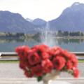 Blick vom Festspielhaus Füssen über den Forggensee auf Schloss Neuschwanstein