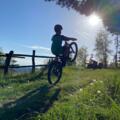 Waldhausen - Mountainbiker