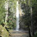 Wasserfall auf dem Wanderweg im Wald