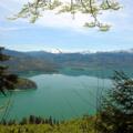 Blick vom Reitweg auf den Walchensee