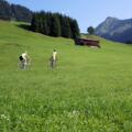 Rennradtouren im Bregenzerwald