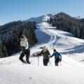 Schneeschuhwandern Hörnle Bad Kohlgrub