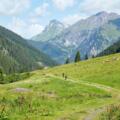 Herrliche Alp- und Berglandschaft im Nenzigasttal
