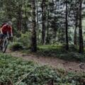 Naturbiken Trail @Allgäu GmbH, Martin Erd