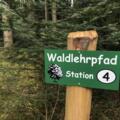 Waldlehrpfad Seebruck