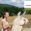 Lama Trekking im Nürnberger Land