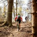 Mountainbiken im Mühlviertler Granitland