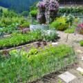Gemüsegarten