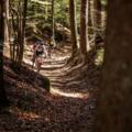 Mountainbiken im Mühlviertler Granitland