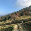 Wanderweg Hochgrat