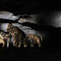 Projektion in der Tropfsteinhöhle Schulerloch in Essing