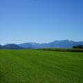 Blick auf die Bayerischen Alpen von Petzgersdorf