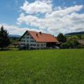 Unser Hof im Sommer