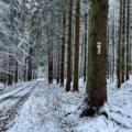 Wanderweg Feldhase im Winter
