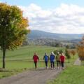 Laufen und Walken in Rohrbach-Berg