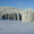 Winterwandern ab Schöneben