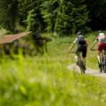 Mountainbiken Naturpark