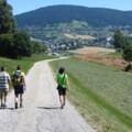Wandern am Böhmerwaldblickweg
