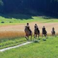 Reiten am Ramlhof