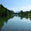 Auwaldsee
