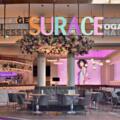 SURACE Gelateria LentiaCity