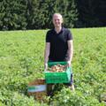 Kartoffeln vom Biohof Übermasser in Grünbach