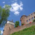 Burg Wertheim