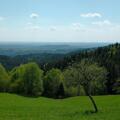 Blick zum Bogenberg bei Unternebling