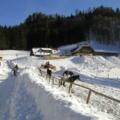 Almgasthof Hochsteinalm Winter