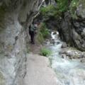 Weg in der Ehnbachklamm