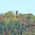 Schlossberg Regenstauf im Herbst