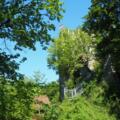 Ruine Haichenbach 471m